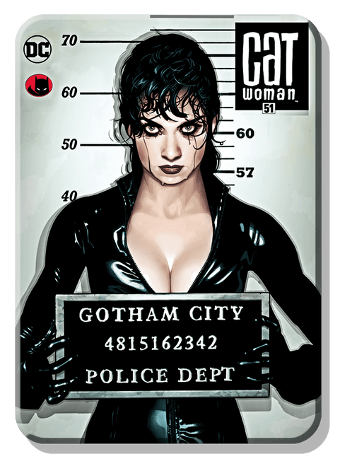 DC Comics American Made Magnets