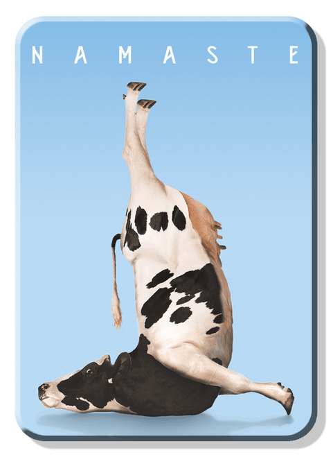 Animals and Funny Peeps American Made Magnets